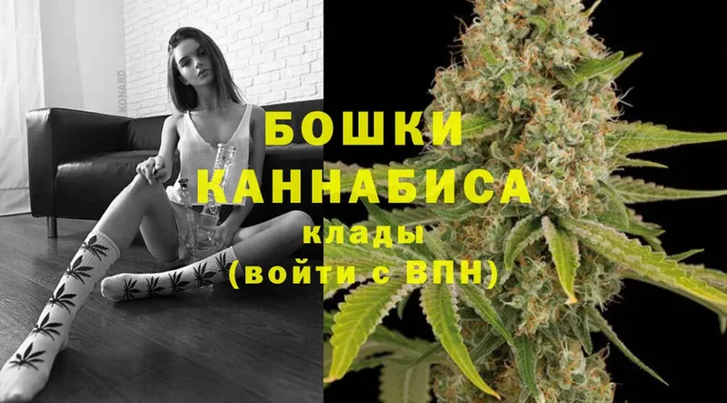 Бошки марихуана LSD WEED  гидра сайт  Дрезна 